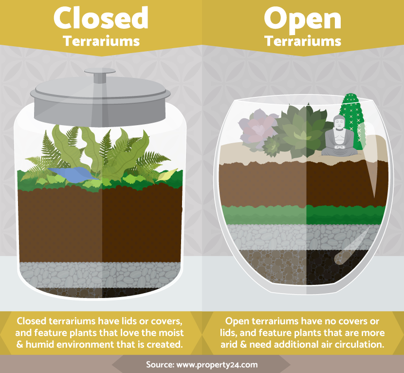 Terrariums: Closed or Open Top