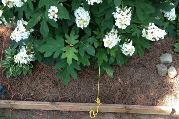 deck stain tip